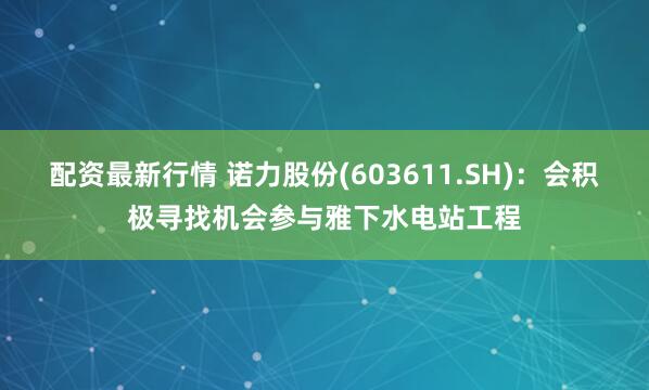 配资最新行情 诺力股份(603611.SH)：会积极寻找机会参与雅下水电站工程