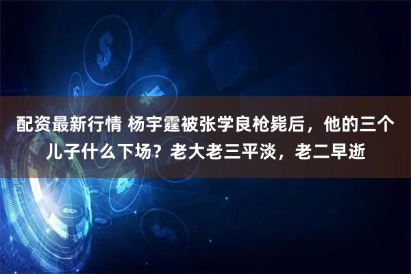 配资最新行情 杨宇霆被张学良枪毙后，他的三个儿子什么下场？老大老三平淡，老二早逝